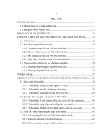 TIỂU THUYẾT ĐẤT RỪNG PHƯƠNG NAM CỦA ĐOÀN GIỎI TỪ GÓC ĐỘ PHÊ BÌNH SINH THÁI