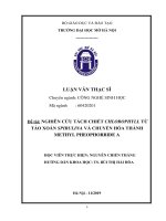 Nghiên cứu tách chiết chlorophyll từ tảo xoắn spirulina và chuyển hóa thành methyl pheophorbide a 