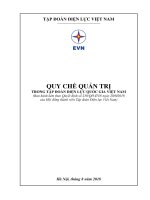 QUY CHẾ QUẢN TRỊ TRONG TẬP ĐOÀN ĐIỆN LỰC QUỐC GIA VIỆT NAM
