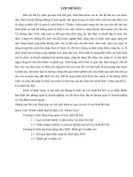 HOÀN THIỆN HOẠT ĐỘNG QUẢN lý THUẾ THU NHẬP DOANH NGHIỆP đối với DOANH NGHIỆP có vốn đầu tư nước NGOÀI tại cục THUẾ hà nội 