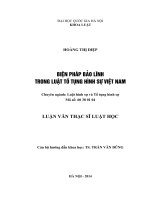 Biện pháp bảo lĩnh trong luật tố tụng hình sự việt nam  