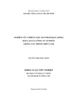 NGHIÊN CỨU CHIẾN LƯỢC SẢN PHẨM HẠT GIỐNGBẮP LAI CỦA CÔNG TY CỔ PHẦNGIỐNG CÂY TRỒNG MIỀN NAM