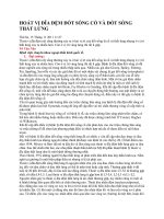 chẩn đoán điều trị thoát vị đĩa đệm, bv Quốc Tế