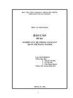 NGHIÊN cứu hệ THỐNG GIÁM sát QUẢN TRỊ MẠNG NAGIOS 