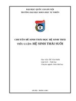 Tiểu luận hệ sinh thái suối  chuyên đề sinh thái học hệ sinh thái 