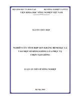 Luận án tiến sĩ nông nghiệp  nghiên cứu tích hợp gen kháng bệnh bạc lá vào một số dòng giống lúa phục vụ chọn tạo giống 