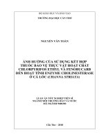 Luận án tiến sĩ kỹ thuật  ảnh hưởng của sử dụng kết hợp thuốc bảo vệ thực vật hoạt chất chlorpyrifos ethyl và fenobucarb đến hoạt tính enzyme cholinesterase cá lóc (channa  