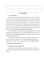 Tiểu luận hình thức chính thể của một số nước trên thế giới 