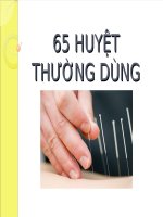 65 huyệt thường dùng  Y HỌC CỔ TRUYỀN ĐH Y DƯỢC TP HCM