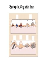 CÁC SANG THƯƠNG DA CĂN BẢN, ĐH Y DƯỢC TP HCM