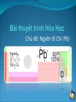 bài giảng về nguyên tố chì pb 