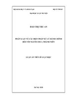 Pháp luật về các biện pháp xử lý hành chính đối với người chưa thành niên