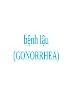 CHẨN ĐOÁN VÀ ĐIỀU TRỊ BỆNH LẬU, ĐH Y DƯỢC TP HCM