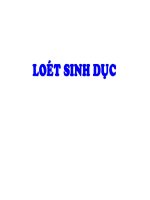 TIẾP CẬN LOÉT SINH DỤC, ĐH Y DƯỢC TP HCM