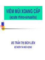 CHẨN ĐOÁN VÀ ĐIỀU TRỊ VIÊM MŨI XOANG CẤP, ĐH Y DƯỢC TP HCM