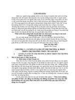 Phát triển thị trường kinh doanh thức ăn chăn nuôi của công ty sản xuất thương mại  đầu tư anh dũng 