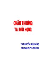 CHẤN THƯƠNG TAI MŨI HỌNG, ĐH Y DƯỢC TP HCM