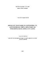 Luận án tiến sĩ nông nghiệp  khảo sát xoắn khuẩn leptospira và leptospirosis trên chó ở một số tỉnh đồng bằng sông cửu long 