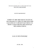 Luận án tiến sĩ sinh học  nghiên cứu biểu hiện kháng nguyên (m, GP5, GP5ectoM) của virus gây hội chứng rối loạn sinh sản và hô hấp ở lợn trong cây thuốc lá bằng phương pháp  