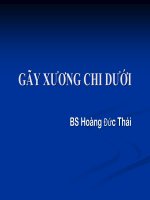 gãy xương chi dưới, ĐH Y DƯỢC TP HCM