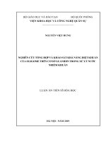 Luận án tiến sĩ hóa học  nghiên cứu tổng hợp và khảo sát khả năng diệt khuẩn của oligome trên cơ sở guanidin trong xử lý nước nhiễm khuẩn 