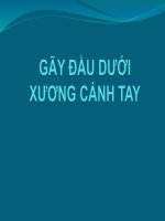 gãy đầu dưới xương cánh tay, ĐH Y DƯỢC TP HCM