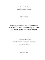 Luận án tiến sĩ sinh học  chọn tạo giống lúa hàm lượng amylose thấp bằng chỉ thị phân tử SSR trên quần thể lai hồi giao 
