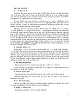 Sáng kiến kinh nghiệm tin học _kỷ thuật chặt nhị phân