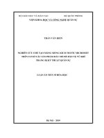 Luận án tiến sĩ hóa học  nghiên cứu chế tạo màng mỏng kích thước micromet trên cơ sở các sản phẩm dầu mỏ để bảo vệ vũ khí trang bị kỹ thuật quân sự 