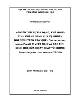 Luận án tiến sĩ sinh học  nghiên cứu sự đa dạng, khả năng sinh kháng sinh của xạ khuẩn nội sinh trên cây quế (cinnamomum cassia presl) ở việt nam và đặc tính sinh học của ho 