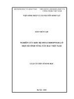 Luận án tiến sĩ sinh học  nghiên cứu khu hệ dơi (chiroptera) ở một số tỉnh vùng tây bắc, việt nam 