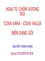 HOẠI tử CHỎM XƯƠNG đùi , BIẾN DẠNG GỐI, ĐH Y DƯỢC TP HCM