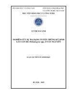 Luận án tiến sĩ sinh học  nghiên cứu sự đa dạng tuyến trùng ký sinh gây sần rễ meloidogyne spp  ở tây nguyên 