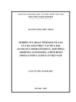 Luận án tiến sĩ sinh học  nghiên cứu hoạt tính bảo vệ gan của ba loài thực vật dứa dại (pandanus odoratissimus), nhó đông (morinda longissima), chùm ruột (phyllanthus acidus) việt nam 