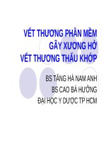 VẾT THƯƠNG PHẦN MỀM,GÃY XƯƠNG HỞ,VẾT THƯƠNG THẤU KHỚP , DH Y DƯỢC TP HCM