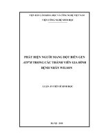 Luận án tiến sĩ sinh học  phát hiện người mang đột biến gen ATP7B trong các thành viên gia đình bệnh nhân wilson 