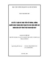 Luận văn tiến sĩ luật học  cơ sở lý luận và thực tiễn về phòng, chống người chưa thành niên phạm tội của viện kiểm sát nhân dân cấp tỉnh ở việt nam hiện nay 