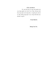 Luận văn tiến sĩ lịch sử  đảng bộ tỉnh nghệ an lãnh đạo bảo tồn và phát huy giá trị các di tích lịch sử cách mạng từ năm 1996 đến năm 2015 