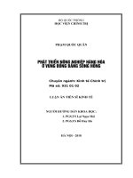 Luận án tiến sĩ kinh tế  phát triển nông nghiệp hàng hoá ở vùng đồng bằng sông hồng 