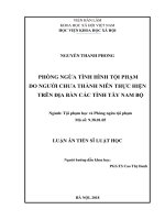 Luận án tiến sĩ luật học  phòng ngừa tình hình tội phạm do người chưa thành niên thực hiện trên địa bàn các tỉnh tây nam bộ 