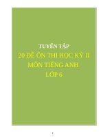 20 ĐỀ ÔN THI HỌC KỲ 2 TIẾNG ANH 6  CÓ ĐÁP ÁN