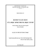 Luận án tiến sĩ tâm lý học  hành vi gây hấn của học sinh trung học cơ sở 