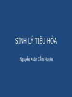 SINH LÝ HỆ TIÊU HOÁ, PHẦN 1, ĐH Y DƯỢC TP HCM