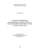Luận án tiến sĩ nông nghiệp  ứng dụng mô hình hóa xác định nhu cầu năng lượng và protein để phát triển thức ăn cho cá lóc (channa striata) 