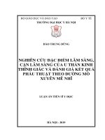 Luận án tiến sĩ y học  nghiên cứu đặc điểm lâm sàng, cận lâm sàng của u thần kinh thính giác và đánh giá kết quả phẫu thuật theo đường mổ xuyên mê nhĩ 