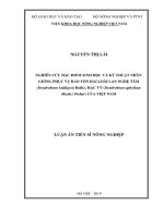 Luận án tiến sĩ nông nghiệp  nghiên cứu đặc điểm sinh học và kỹ thuật nhân giống phục vụ bảo tồn hai loài lan nghệ tâm (dendrobium loddigesii rolfe), hạc vỹ (dendrobium aphyllu 