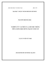 Luận án tiến sĩ y học  nghiên cứu vai trò của acid uric trong tiên lượng hội chứng mạch vành cấp 