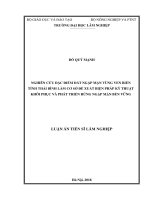 Luận án tiến sĩ nông nghiệp  nghiên cứu đặc điểm đất ngập mặn vùng ven biển tỉnh thái bình làm cơ sở đề xuất biện pháp kỹ thuật khôi phục và phát triển rừng ngập 