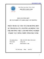 Báo cáo nghiên cứu khoa học cấp trường  phân tích các yếu tố ảnh hưởng đến sự tham gia của người lao động vào thị trường việc làm phi nông nghiệp ở khu vực nông thôn 