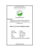 (Khóa luận tốt nghiệp) Ảnh hưởng của chế độ ăn trong thời gian chờ phối đến động dục và số con đẻ lứa của lợn rừng lai